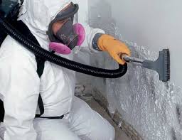 Best Air Quality Testing for Mold Spores  in Franklin Rk, PA